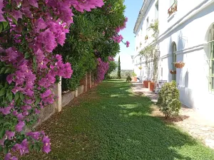 Cortijo histórico rehabilitado