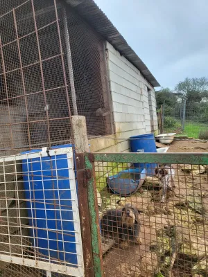 Se vende finca con vistas increíbles