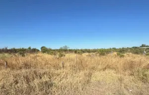 Finca de Regadío en Carmona