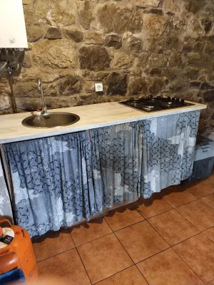 Cabaña con plantación de arandanos