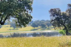 FINCA GANADERA DE 700HA EN EL NORESTE DE CÁCE