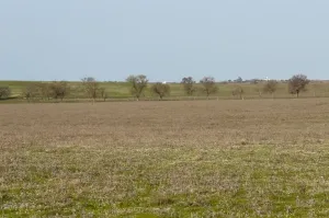 FINCA GANADERA Y DE CULTIVO CERCA DE CÁCERES