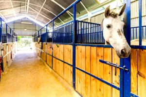 Finca Ecuestre con Cortijo Andaluz cerca de l