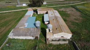 se vende o alquila finca de 1,5 hectarea