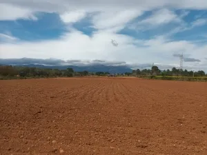 Finca con buen acceso