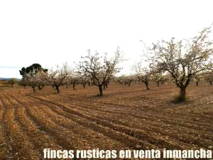 finca en venta 125 has. labor-almendros-monte