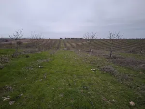 VENTA FINCA 7 HECTÁREAS