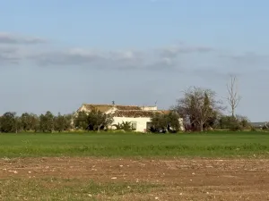 FINCA RÚSTICA PRODUCTIVA EN CAMPIÑA ECIJANA