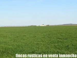 finca en venta 366 has. labor viña en Toledo