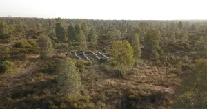 Finca de 159 ha en Doñana /Coto privado