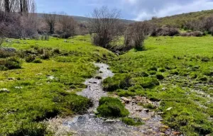 Finca Ganadera en El Espinar Segovia