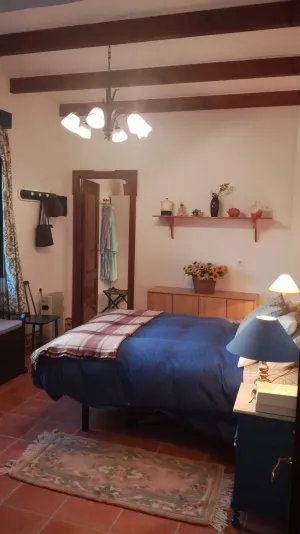 Finca naranjos y olivar,gran casa y dehesa