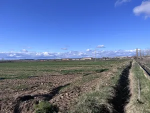 Finca arable regadío en producción