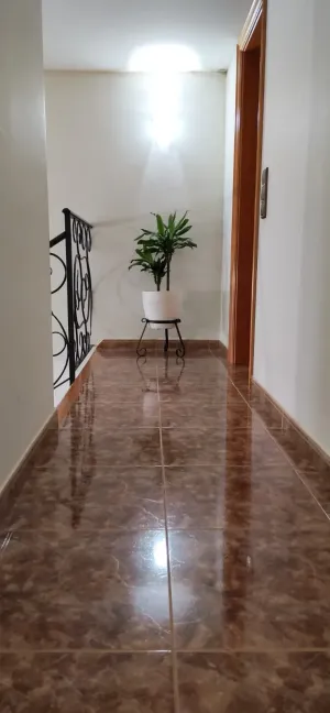 FINCA RUSTICA ENTRE VIÑEDOS DEL PENEDES