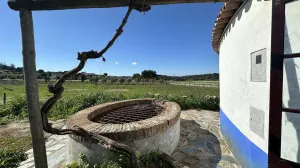Finca en Estremoz Évora - Portugal