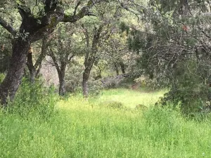 Finca con vivienda y inst.ecuestres