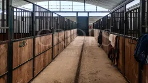 Hípica en venta a menos de 1 hora de Madrid