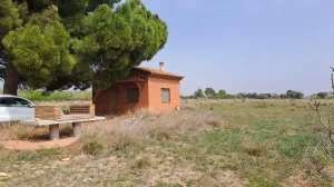 Finca rústica en venta en Constanti