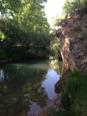 Finca agrícola ganadera ecológica renovables
