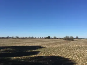 Alquilo parcela de 14,5 Has.