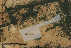 FINCA RUSTICA FORESTAL EN TARIFA