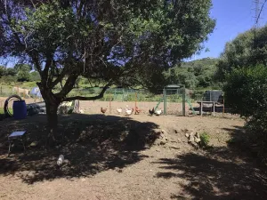 TARIFA FINCA RÚSTICA