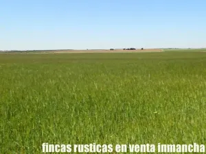 finca en venta 295 has. labor secano Albacete
