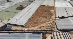 Venta de Finca Baldía - Rustica Agrícola