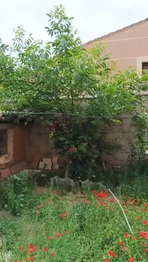 Finca Melgar de Fernamental