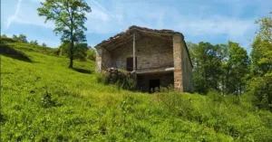 Finca en San Roque de Riomera