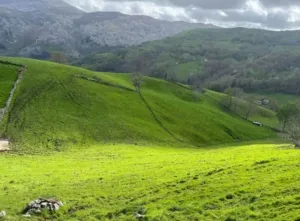 Arredondo - Cantabria