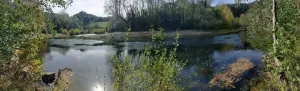 Finca en Rasines