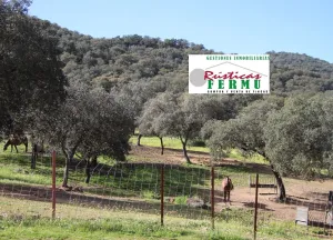 Finca de hípica y cinegética cerca de Córdoba