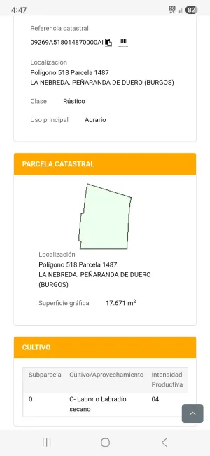 Parcela de secano ideal para viñedo
