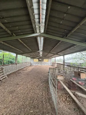 Venta conjunta de dos fincas rústicas en Xerta (granja y finca de olivos)