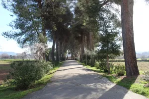 FINCA DE LUJO EN MADRID ref. 1544
