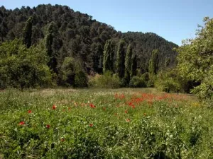 Suelo Urbano con Finca de regadío Parque Nat.