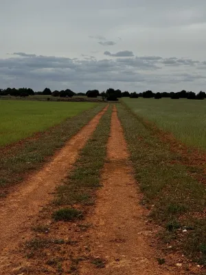 finca en venta