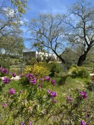 Hotel Boutique sostenible en Sierra de Gata
