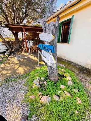 FINCA RUSTICA LLUCMAJOR
