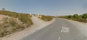 Dehesa Tamujoso | 650 ha de dehesa productiva con explotación ganadera y cinegética en Huelva