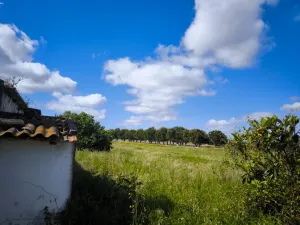 Finca en Palmela