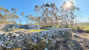 Finca en Porto de Mós