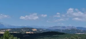 FINCA EN LUZAS 99 HECT. AGRICOLA O INVERSION