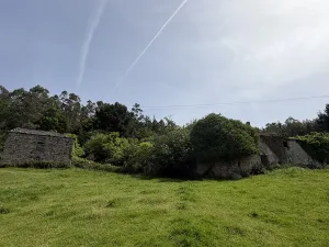 Fincas con Casas de Piedra y Eucaliptal