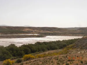 VENTA FINCA REGADIO 160 Hectareas