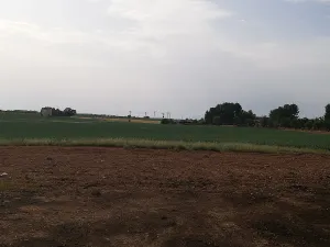 58Ha Finca