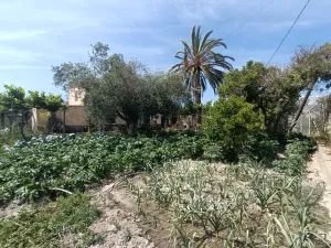 Finca olivos, cortijo 100%invernable