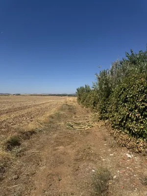 VENTA TERRENO EL CHAPARRILLO 5214 m2