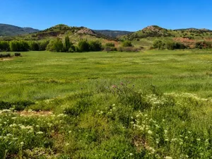 EXCLUSIVA EXPLOTACIÓN AGROGANADERA DE 172 ha